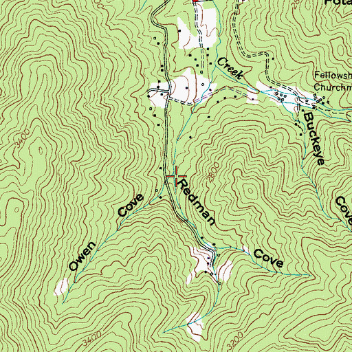 Topographic Map of Redman Cove, NC