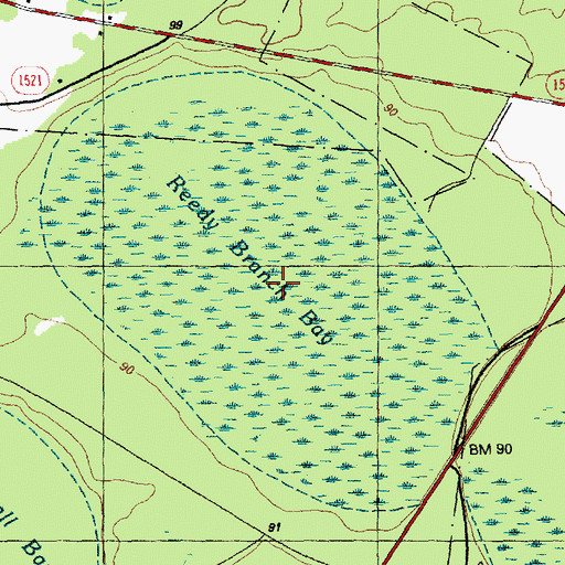 Topographic Map of Reedy Branch Bay, NC