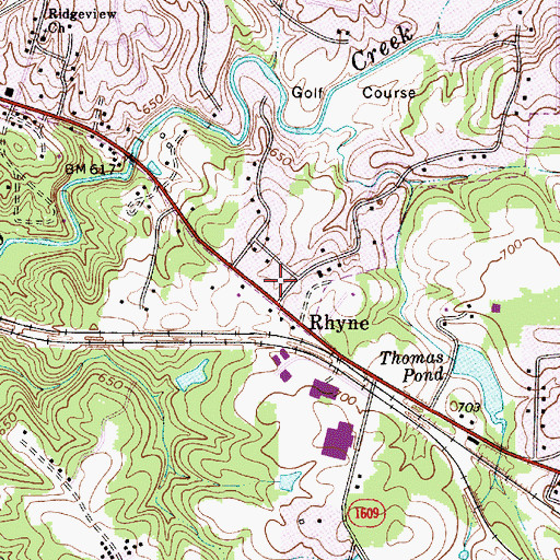 Topographic Map of Rhyne, NC