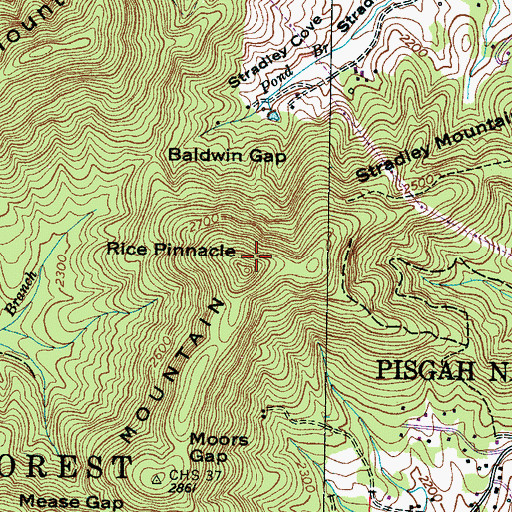 Topographic Map of Rice Pinnacle, NC