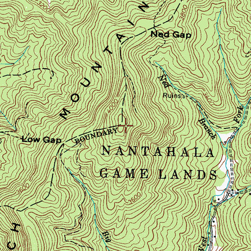 Topographic Map of Rich Mountain, NC