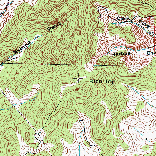 Topographic Map of Rich Top, NC