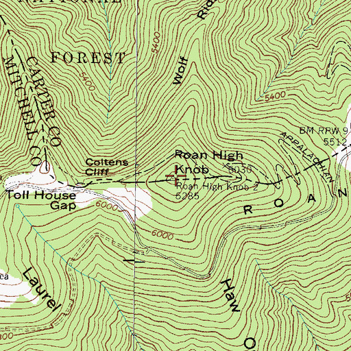 Topographic Map of Roan High Knob, TN