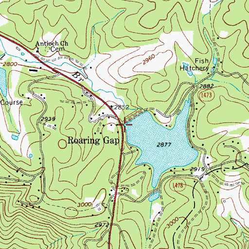 Topographic Map of Roaring Gap, NC