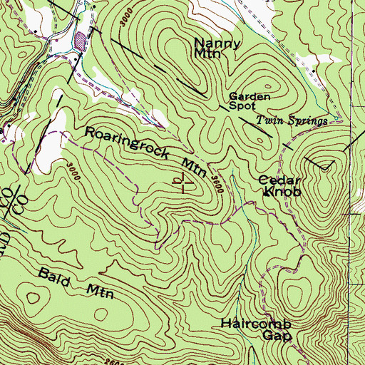 Topographic Map of Roaringrock Mountain, NC