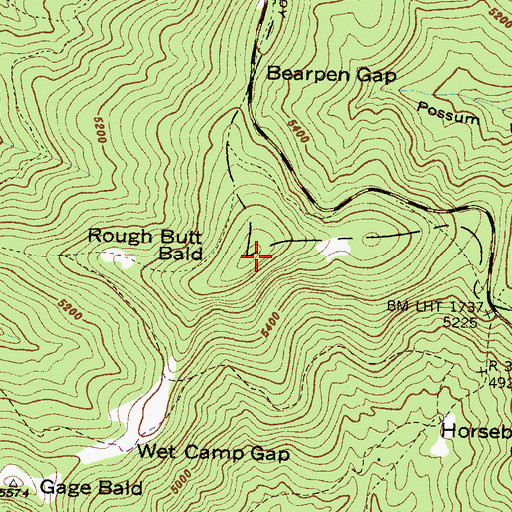Topographic Map of Rough Butt Bald, NC