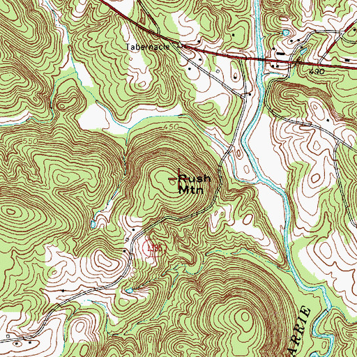 Topographic Map of Rush Mountain, NC
