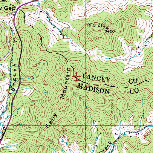 Topographic Map of Sally Mountain, NC