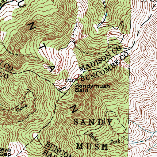 Topographic Map of Sandymush Bald, NC