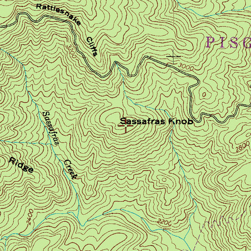 Topographic Map of Sassafras Knob, NC