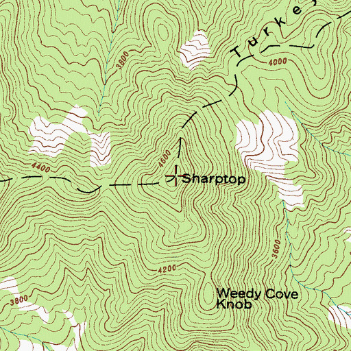 Topographic Map of Sharptop, NC