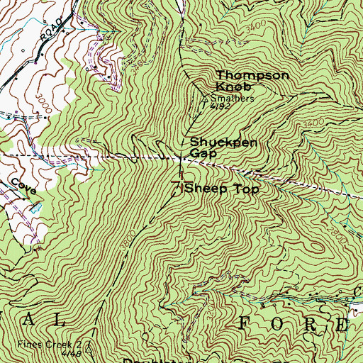 Topographic Map of Sheep Top, NC