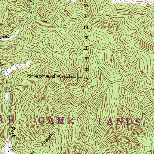 Topographic Map of Shepherd Mountain, NC