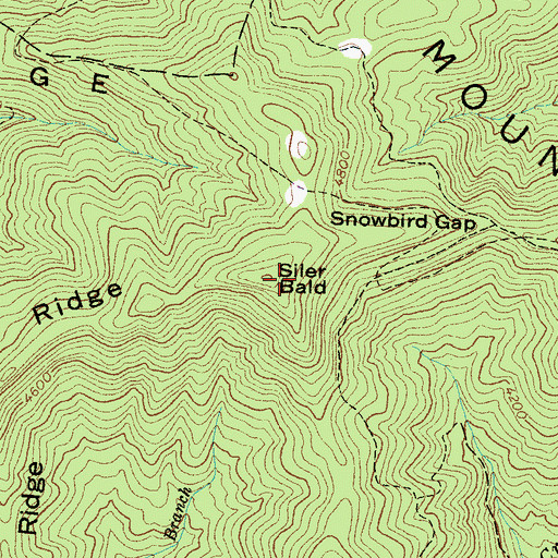 Topographic Map of Siler Bald, NC