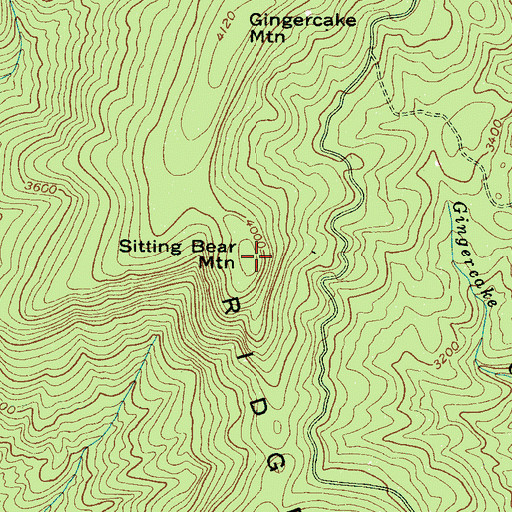 Topographic Map of Sitting Bear Mountain, NC