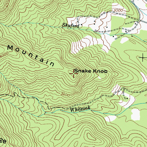 Topographic Map of Snake Knob, NC