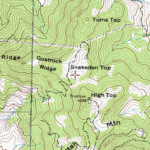 Topographic Map of Snakeden Top, NC