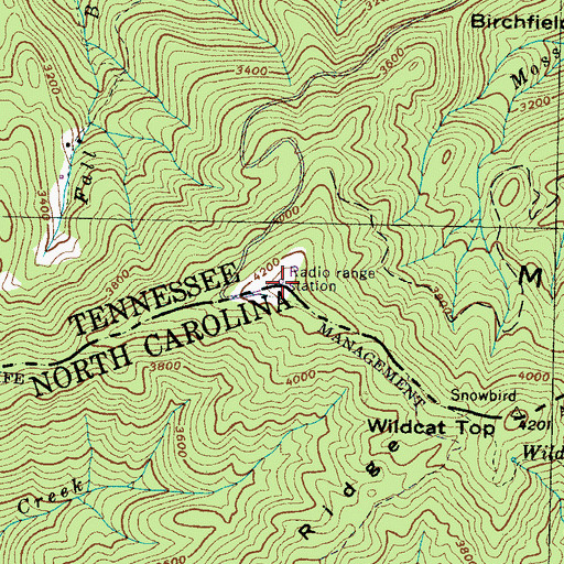 Topographic Map of Snowbird Mountain, TN