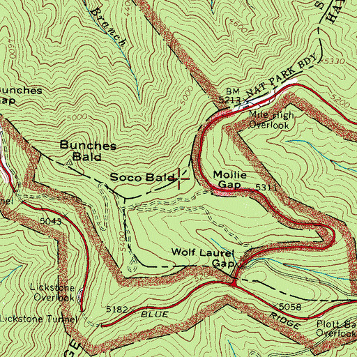 Topographic Map of Soco Bald, NC
