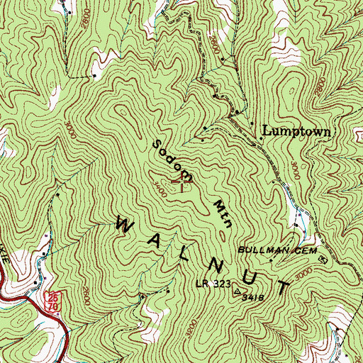 Topographic Map of Sodom Mountain, NC
