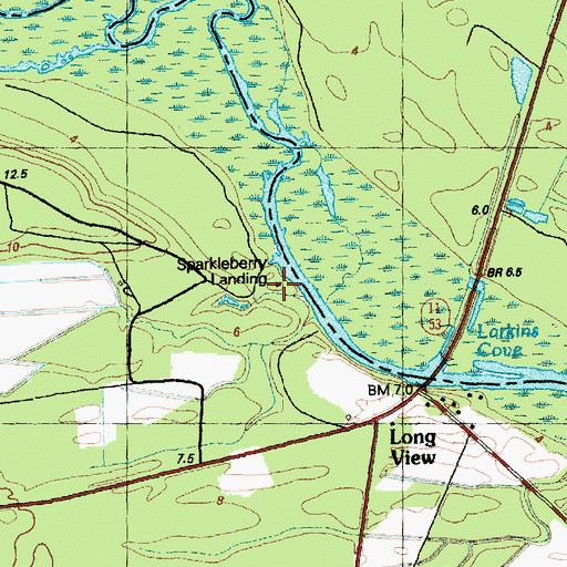 Topographic Map of Sparkleberry Landing, NC
