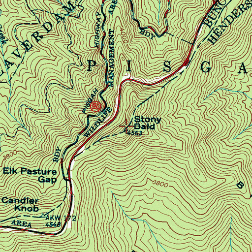 Topographic Map of Stony Bald, NC