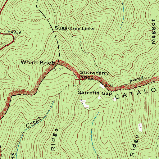 Topographic Map of Strawberry Knob, NC