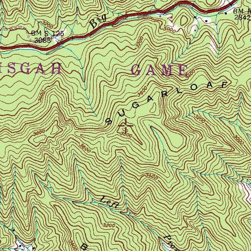 Topographic Map of Sugarloaf Mountain, NC