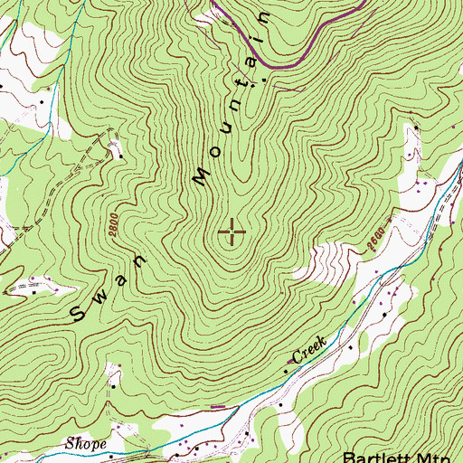 Topographic Map of Swan Mountain, NC