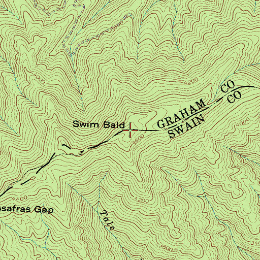 Topographic Map of Swim Bald, NC