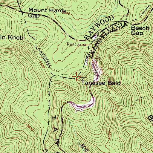 Topographic Map of Tanasee Bald, NC