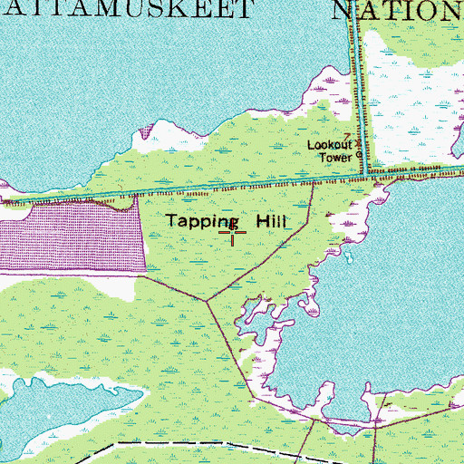 Topographic Map of Tapping Hill, NC