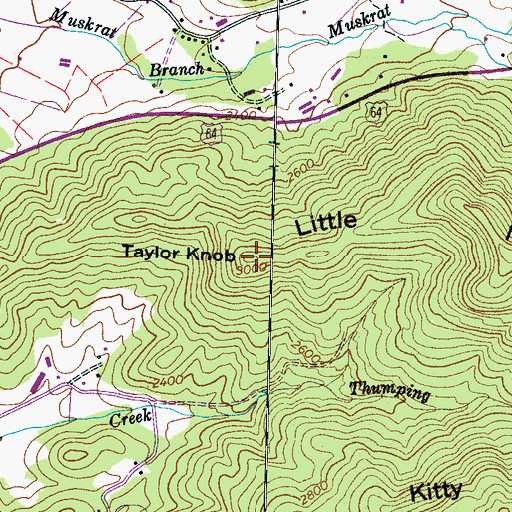 Topographic Map of Taylor Knob, NC