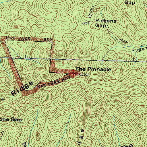 Topographic Map of The Pinnacle, NC
