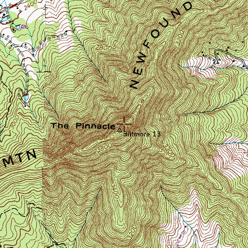 Topographic Map of The Pinnacle, NC