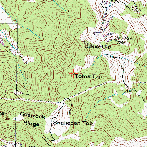 Topographic Map of Toms Top, NC