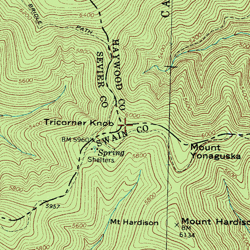 Topographic Map of Tricorner Knob, NC