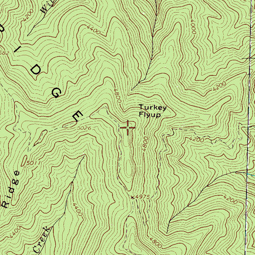 Topographic Map of Turkey Flyup, NC