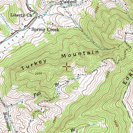 Topographic Map of Turkey Mountain, NC