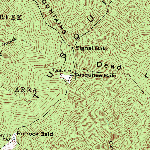 Topographic Map of Tusquitee Bald, NC