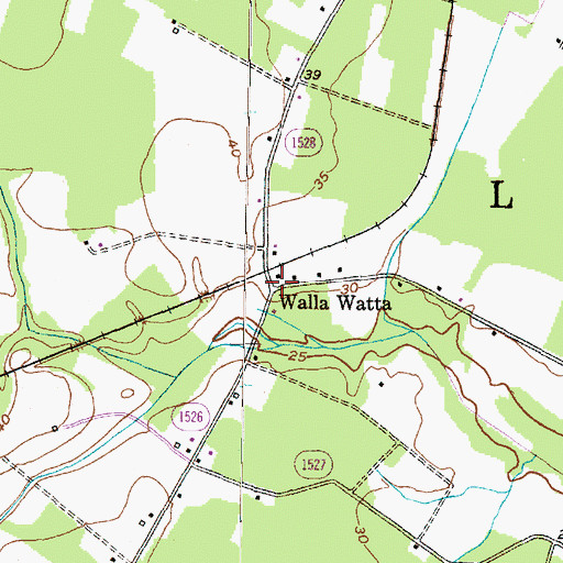 Topographic Map of Walla Watta, NC