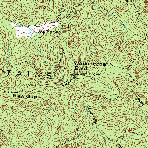 Topographic Map of Wauchecha Bald, NC