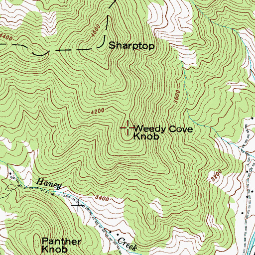 Topographic Map of Weedy Cove Knob, NC