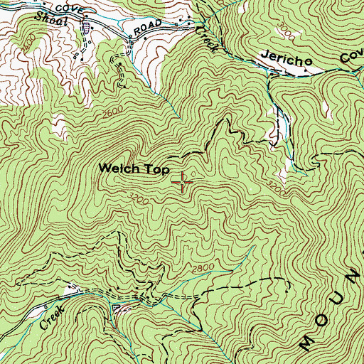 Topographic Map of Welch Top, NC