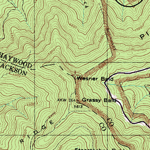 Topographic Map of Wesner Bald, NC