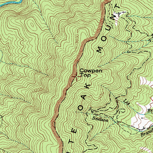 Topographic Map of White Oak Mountain, NC