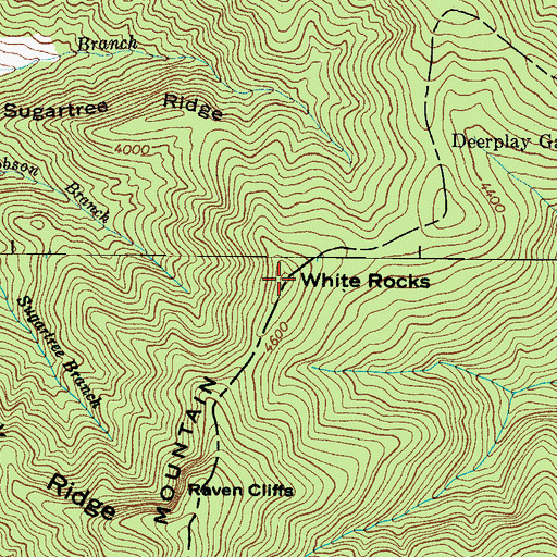 Topographic Map of White Rocks, NC