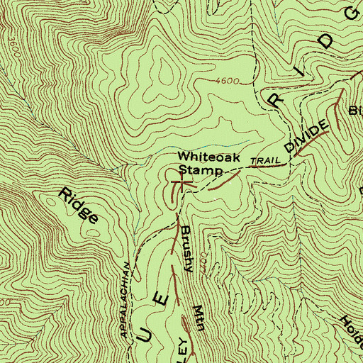 Topographic Map of Whiteoak Stamp, NC