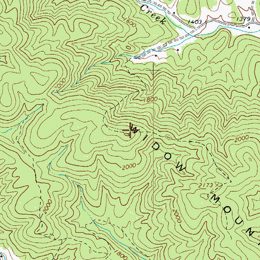 Topographic Map of Widow Mountain, NC