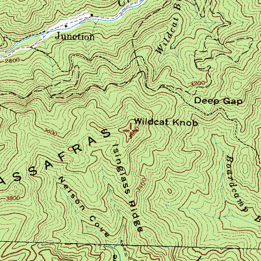 Topographic Map of Wildcat Knob, NC